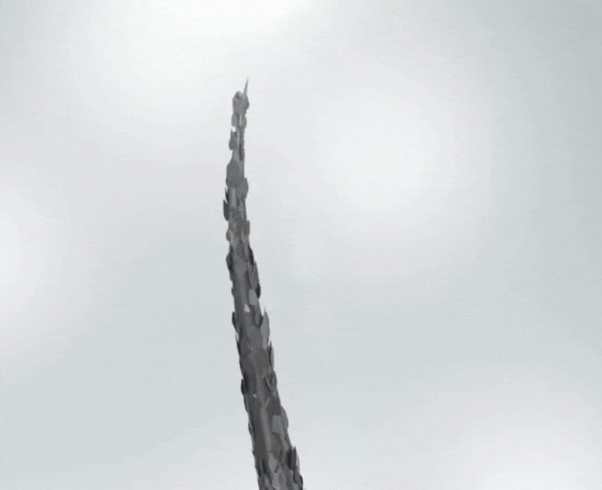 240628-B5_shampoo_01.gif